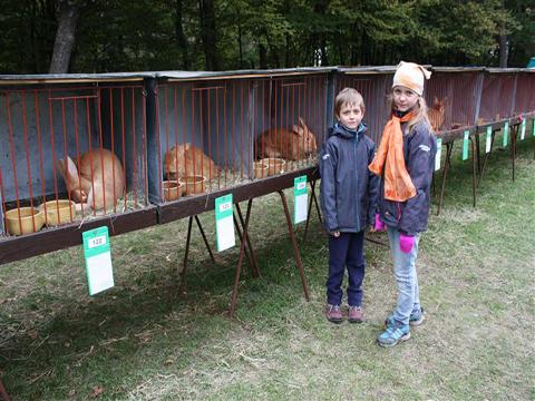 Ilustrační foto (Foto: město Vsetín)