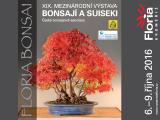 Ilustračni foto (Foto Floria Kroměříž)