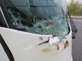 Autobus po srážce se zvířetem (foto: Policie ZK)