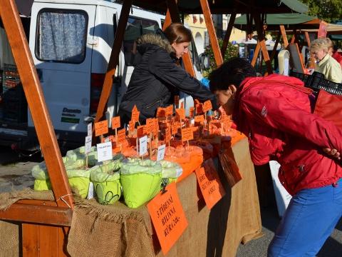 Ilustrační foto (Foto: MěÚ Valašské Meziříčí)