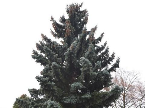 Foto: MěÚ Holešov