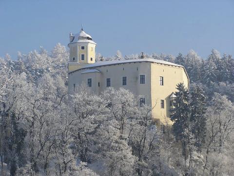 Hrad Malenovice (Foto: MJVM)