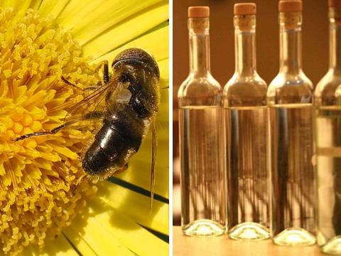 Ilustrační foto (Foto: Spolek včelařů ve Štítné nad Vláří)