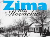 Ilustrační foto (Foto: Slovácké muzeum)