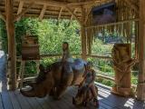 Foto: Facebook ZOO a zámek Zlín - Lešná