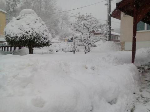Foto: Karel Palička