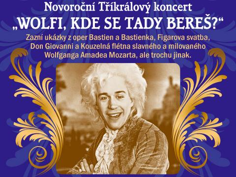 Ilustrační foto (Foto: CCRVM)