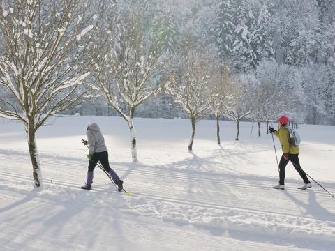 Ilustrační foto (Foto: Ski areál Razula)