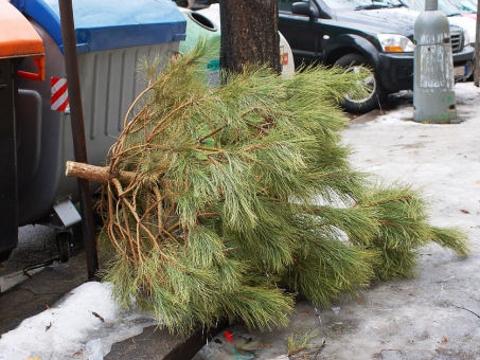 Ilustrační foto (Foto: MěÚ Uherské Hradiště)