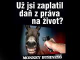 Tour 2017 (Foto: FB Monkey Business)