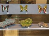 Výstava létající drahokamy (Foto: 14|15 Baťův institut)