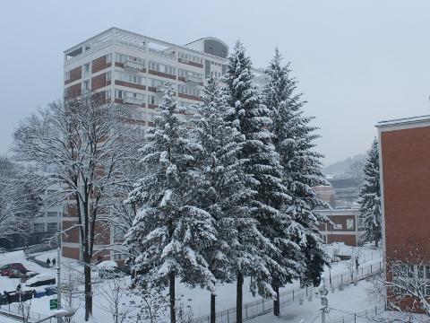 Foto: Zlin.cz