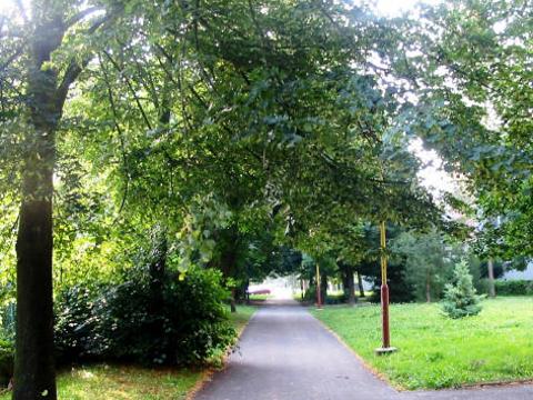 Ilustrační foto (Foto: MěÚ Uherské Hradiště)