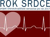 Ilustrační foto (Foto: Uherskohradišťská nemocnice)