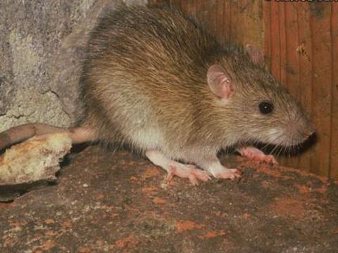 Ilustrační foto (Foto: MěÚ Otrokovice)