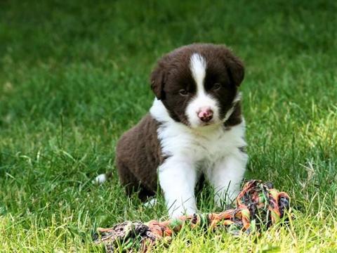 Ilustrační foto (Foto: MěÚ Otrokovice)