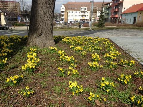 Foto: MěÚ Otrokovice