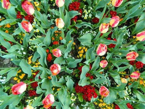 Ilustrační foto (Foto: MěÚ Zlín)