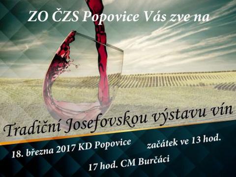 Ilustrační foto (Foto: www.popovice.cz)