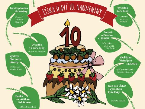 Ilustrační foto (Foto: www.liska-evvo.cz)