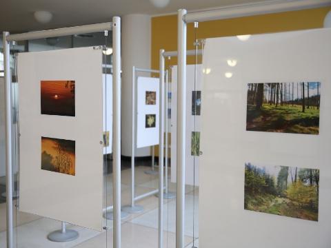 Šindelářovy fotografie (Foto: Zlínský kraj)