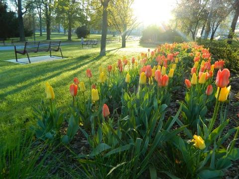Ilustrační foto (Foto: MěÚ Zlín)