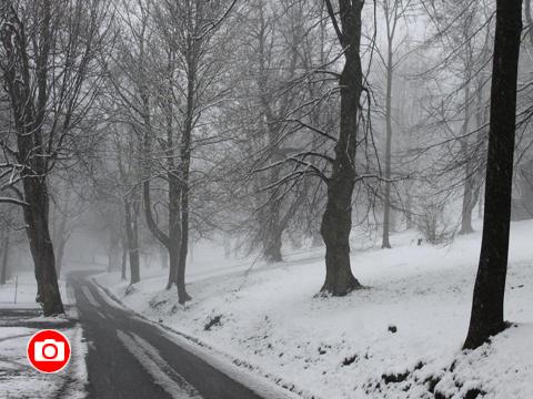 Foto: Zlin.cz