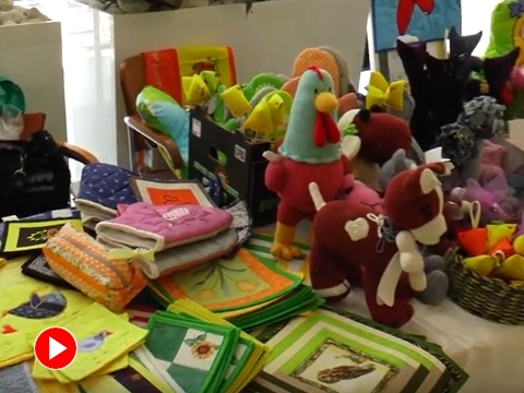 Foto: youtube Televize TVS Foto: youtube Televize TVS
