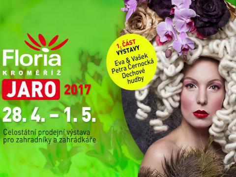 Ilustrační foto (Foto: www.vystavistefloria.cz)