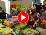 Foto: youtube Televize TVS