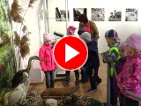 Foto: youtube Televize TVS