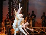 Coppélie (Australský balet) (foto: MKUH)