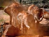 Ilustrační foto (Foto: ZOO a zámek Zlín - Lešná)