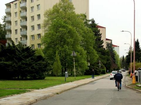 Ilustrační foto (Foto: MěÚ Uherské Hradiště)
