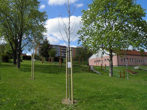 foto: město Valašské Klobouky