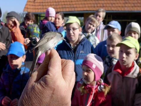 foto: město Valašské Meziříčí