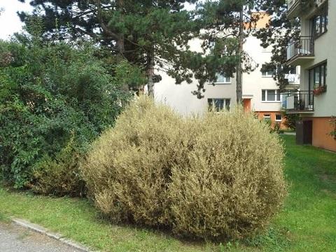 foto: oficiální stránky města 