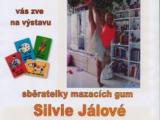 Ilustrační foto (Foto: MěÚ Uherský Brod)