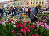 Foto: MěÚ Valašské Meziříčí