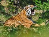 foto: Zoo Zlín