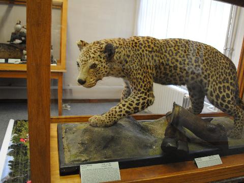 Foto: Muzeum jihovýchodní Moravy ve Zlíně