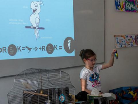 Ilustrační foto (Foto: academicschool.cz)