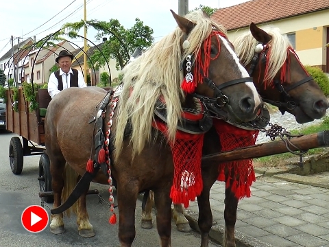 Foto: youtube Televize TVS