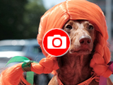 Foto: IS Produkce