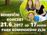 benefiční koncert Holky pro holky (Foto: Zelenáčova šopa)
