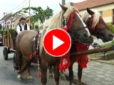 Foto: youtube Televize TVS