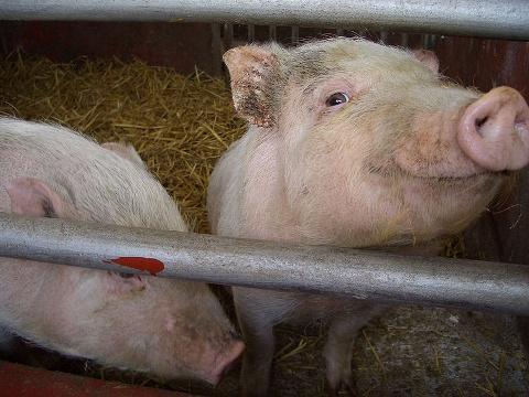 Ilustrační foto (Foto: Zlin.cz)