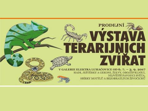 foto: mdkelektra.luhacovice.cz