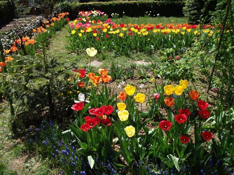 ilustrační foto: foto Zlin.cz