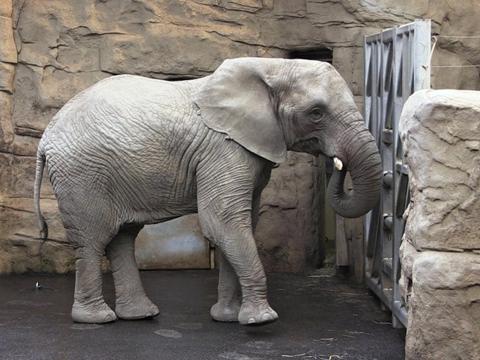 foto: Zoo Zlín